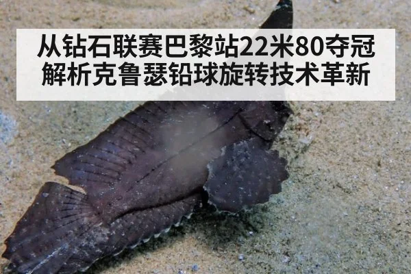 从钻石联赛巴黎站22米80夺冠解析克鲁瑟铅球旋转技术革新
