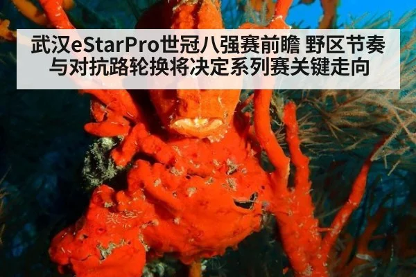 武汉eStarPro世冠八强赛前瞻 野区节奏与对抗路轮换将决定系列赛关键走向（j9.com）